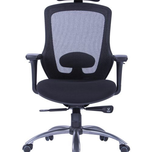 كرسي بمسند ظهر مرتفع W-169H