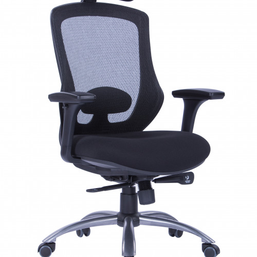 كرسي بمسند ظهر مرتفع W-169H