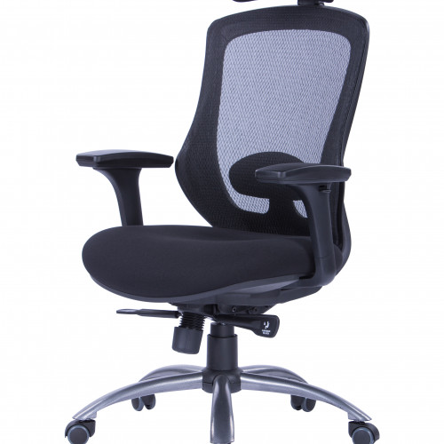 كرسي بمسند ظهر مرتفع W-169H