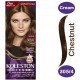 كوليستون ماكسي صبغة شعر كستنائى 305/4