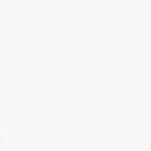 ريكسونا بخاخ للعرق بامبو للنساء 150 مل