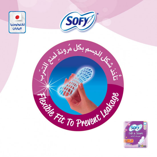 سوفي نعومة و أمان رقيقة كبير بالاجنحة 36 فوطة سوفي نعومة و أمان رقيقة كبير بالاجنحة 36 فوطة