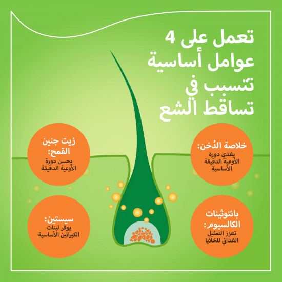 برايورين-ان لنمو الشعر 90 كبسولة