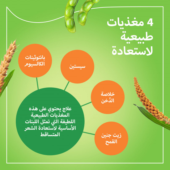 برايورين-ان لنمو الشعر 90 كبسولة