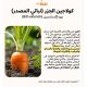 ذا سيل لاب يوث بروموتينج أمبول 50 مل ذا سيل لاب يوث بروموتينج أمبول 50 مل