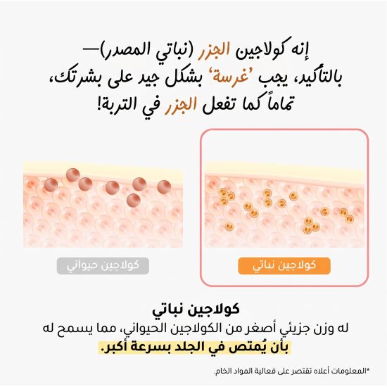 ذا سيل لاب يوث بروموتينج أمبول 50 مل ذا سيل لاب يوث بروموتينج أمبول 50 مل
