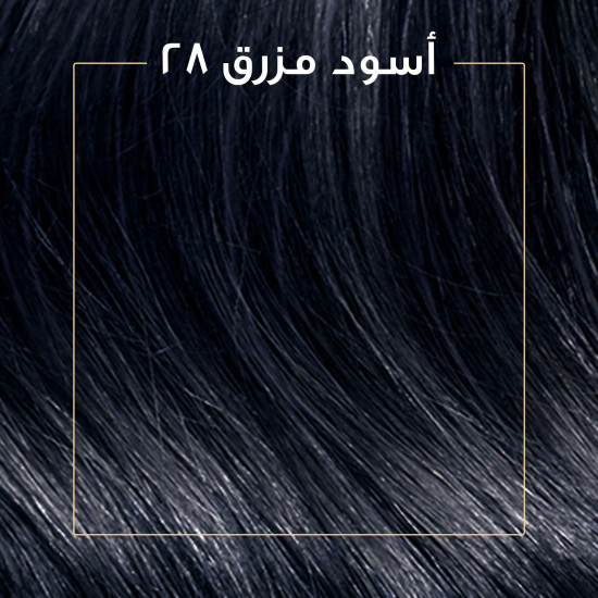 "كوليستون صبغة شعر أسود مزرق كيت 2/8 "