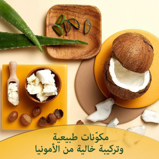 سوفت كولور صبغة 60 أشقر غامق 19 IV