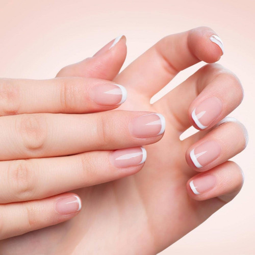 تيتانيا قصافة اظافر فضي كبير 1052/2