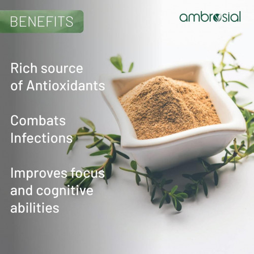 Ambrosial Berberine HCL 500 mg - 60 Capsules