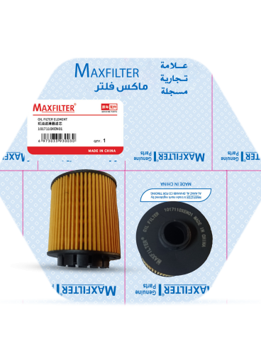 OIL FILTER 1017110XEN01