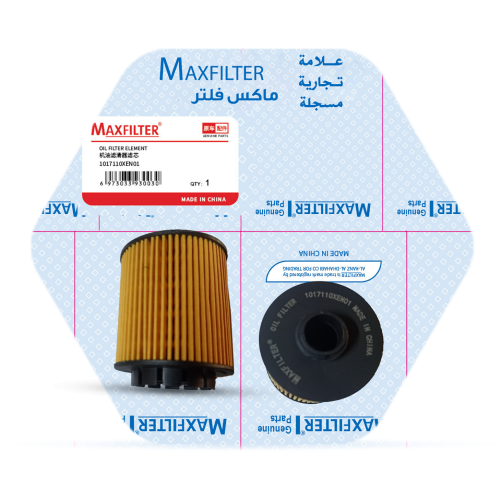 OIL FILTER 1017110XEN01