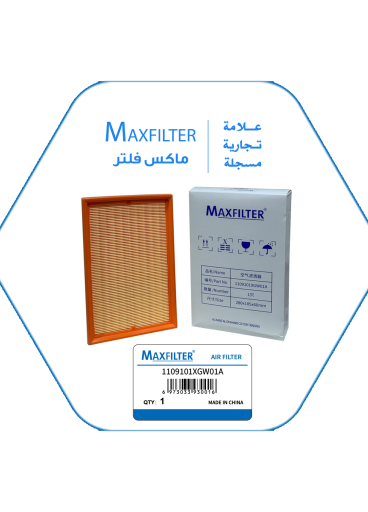 AIR FILTER 1109101XGW01A