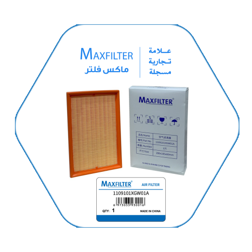 AIR FILTER 1109101XGW01A