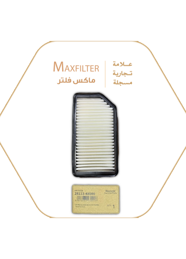 Air Filter 28113-4X000