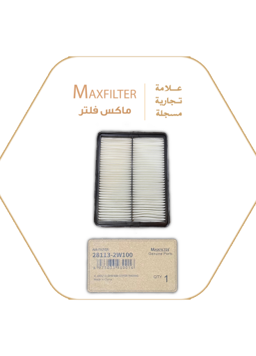 Air Filter 28113-2W100