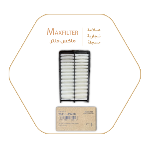 Air filter 28113-A9200