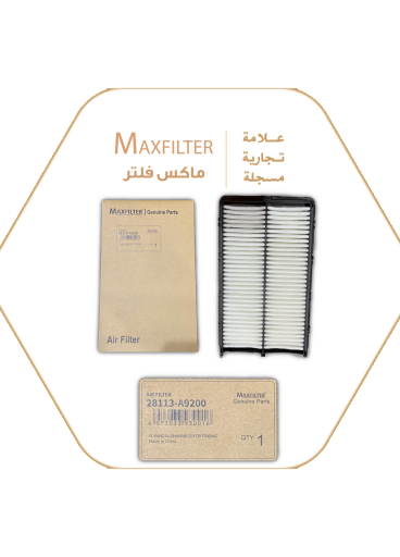 Air filter 28113-A9200