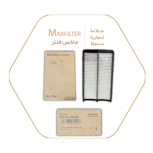 Air filter 28113-A9200