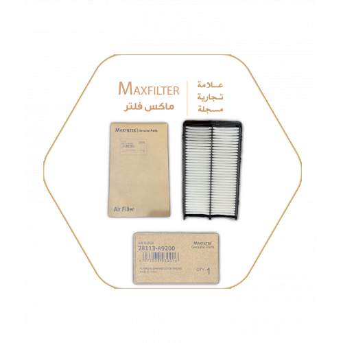فلتر الهواء  28113-A9200