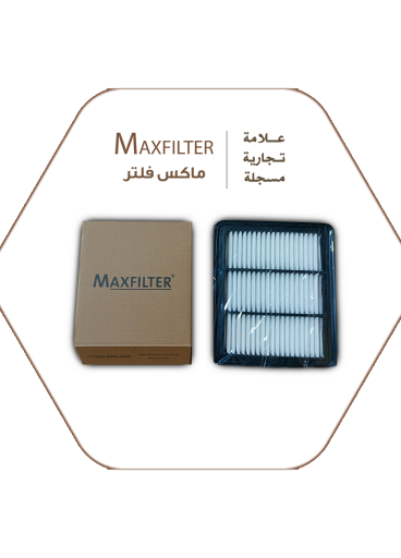 Air Filter Max Filter 17220-6A0-A00