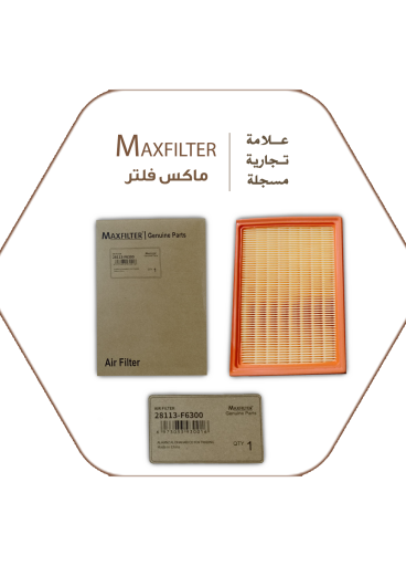 Air Filter Max Filter 28113-F6300