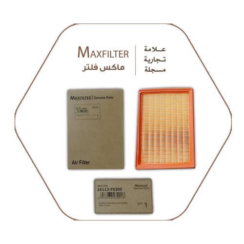 Air Filter Max Filter 28113-F6300