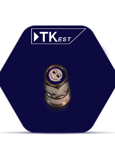 Nickel tire valve
