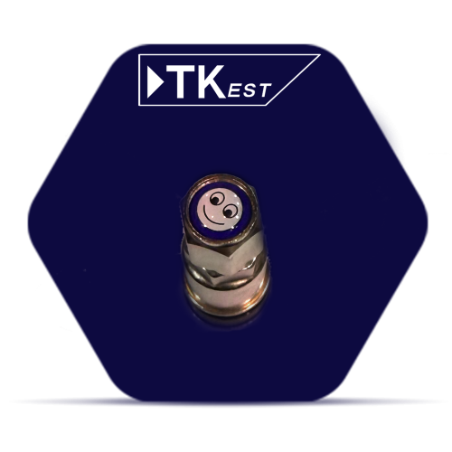 Nickel tire valve