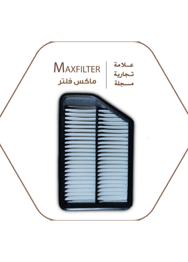 MaxFilter Air Filter - 28113-3X000