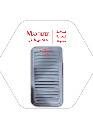  Air Filter  17801-22020