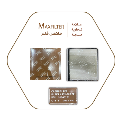 MG MaxFilter Air Conditioner Filter – 10365251