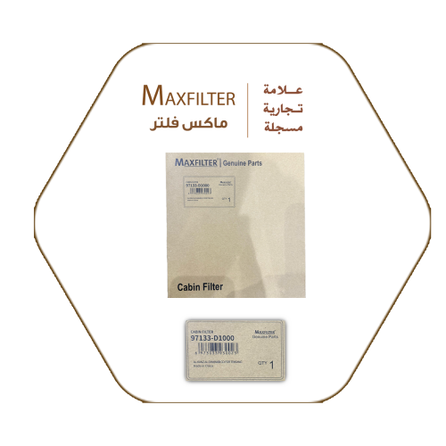 Hyundai-Kia MaxFilter Air Conditioner Filter – 79133-D1000