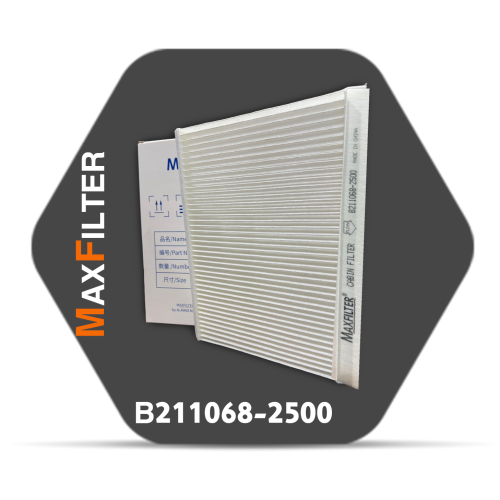 Cabin Air FilterB211068-2500