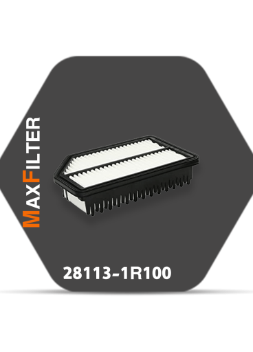  Air Filter 28113-1R100