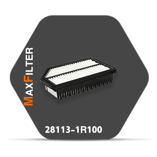  Air Filter 28113-1R100