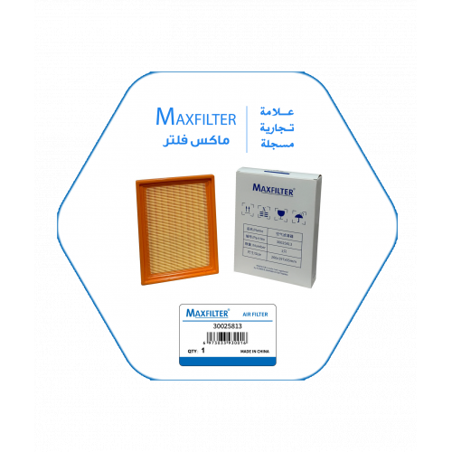 فلتر هواء 30025813