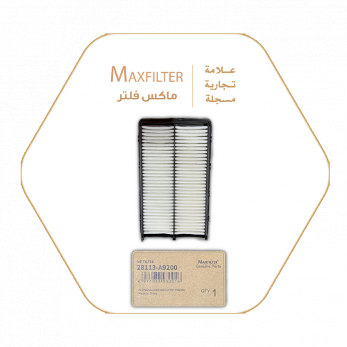 فلتر الهواء  28113-A9200