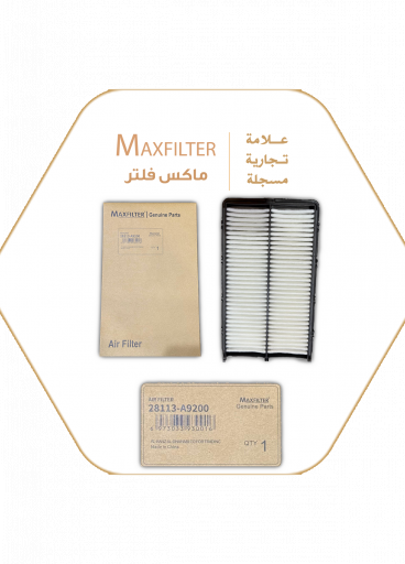 فلتر الهواء 28113-A9200 فلتر الهواء 28113-A9200