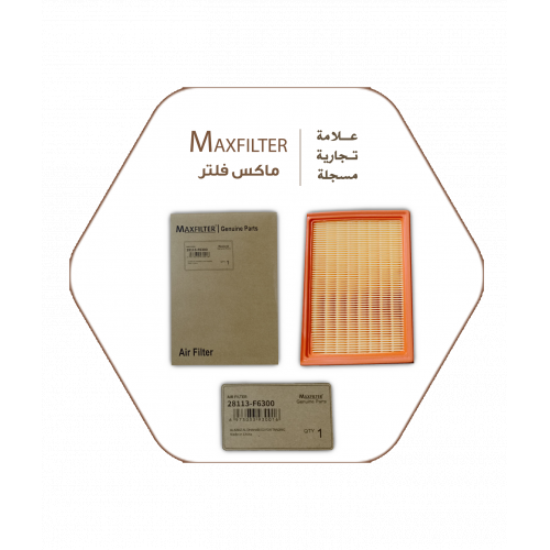 فلتر هواء Max Filter 28113-F6300 فلتر هواء Max Filter 28113-F6300