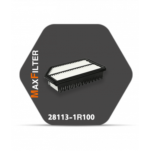 فلتر هواء 28113-1R100 فلتر هواء 28113-1R100