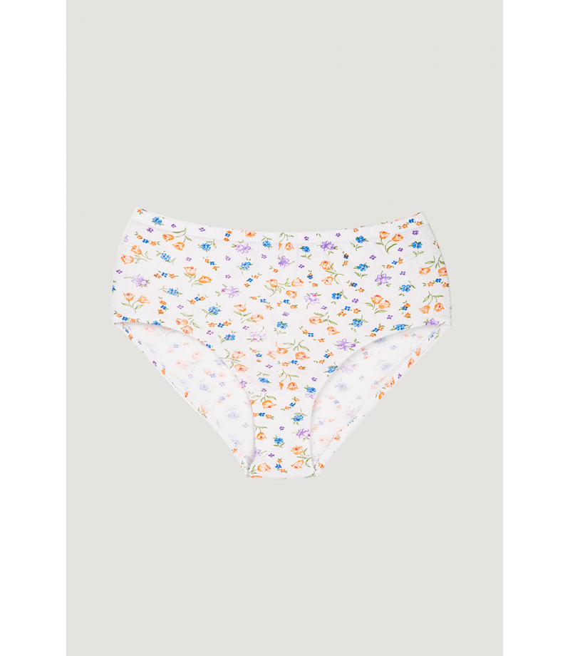 شد 6 حبة كيلوت نسائي قطني مزهر ( الوان مشكلة ) قطن 100% ماركة جيلان كود 110