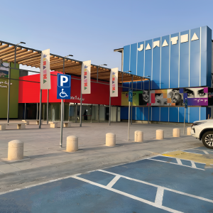 تذكرة الدخول 