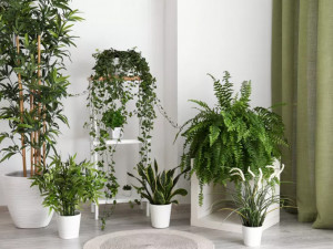 هل النباتات الصناعية آمنة للأطفال؟ دليلك لاختيار الزينة المناسبة للبيوت العائلية