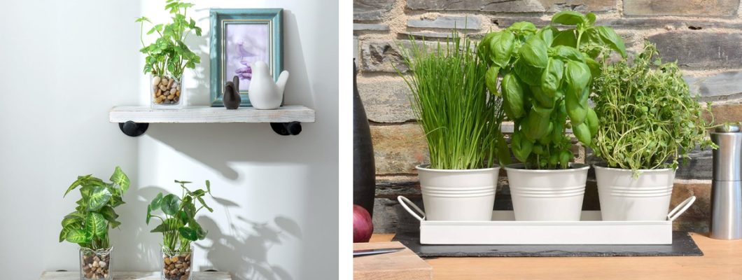 Best Artificial Plants for Tables and Shelves – A Simple Touch That Transforms the Atmosphere