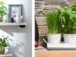 أفضل النباتات الصناعية لتزيين الطاولات والرفوف – لمسة بسيطة تغيّر الجو