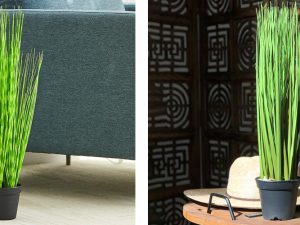 How to Style Artificial Onion Plant with Your Home Decor