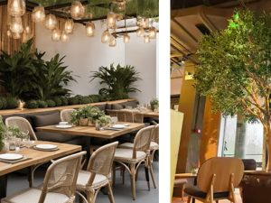 Top 7 Innovative Uses of Artificial Plants in Restaurant and Café Design