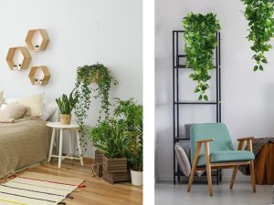 Artificial Plants for Bedrooms: A Soothing Touch That Enhances Comfort