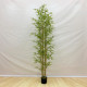 شجرة الخيزران (البامبو) 210 سم شجرة الخيزران (البامبو) 210 سم